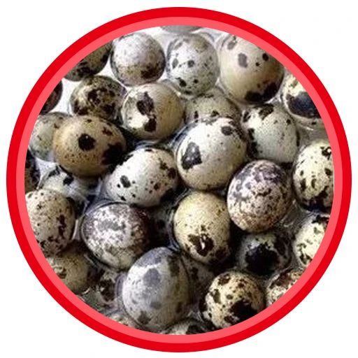 比鸡蛋补人，比核桃健脑！经常吃点它，体质强了、记性好了，补遍全身~