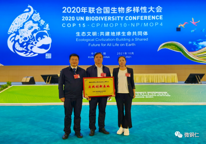 ��ϲ��ͭ������һ�š����Ҽ�����Ƭ