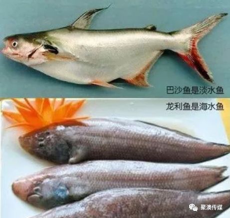 踏板鱼的家常做法_踏板鱼_踏板鱼怎么处理干净