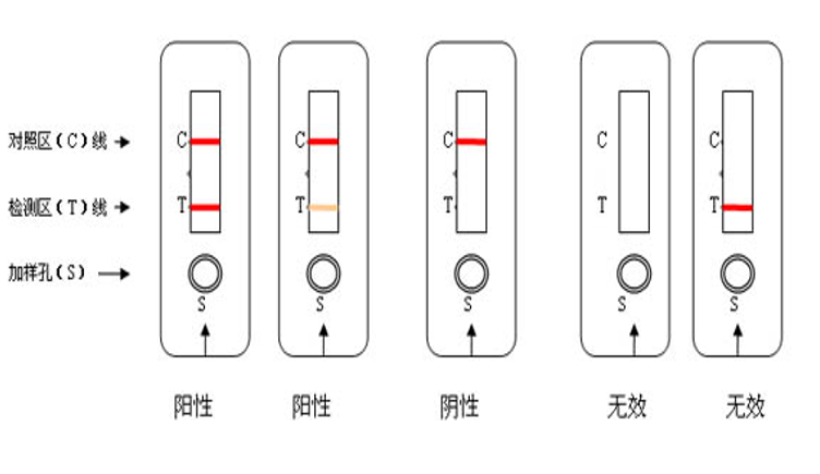 AED怎么自检害怕又不敢去医院？HIV自检：15分钟，给你一个安心的答案_https://www.jmylbn.com_新闻资讯_第3张