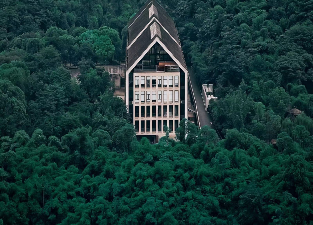 四川美术学院招生处处长张弛访谈