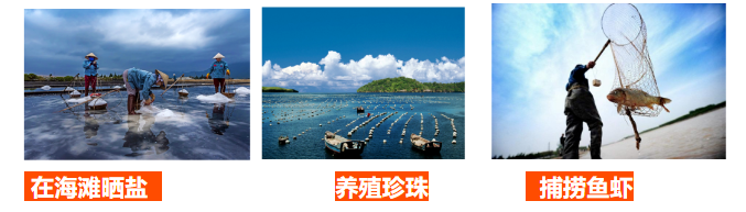 我国大陆海岸线长达多少千米_我国大陆海岸线漫长的好处_大陆海岸线经过的海洋