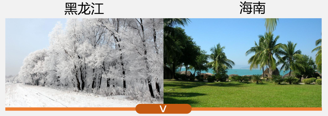 我国大陆海岸线长达多少千米_大陆海岸线经过的海洋_我国大陆海岸线漫长的好处