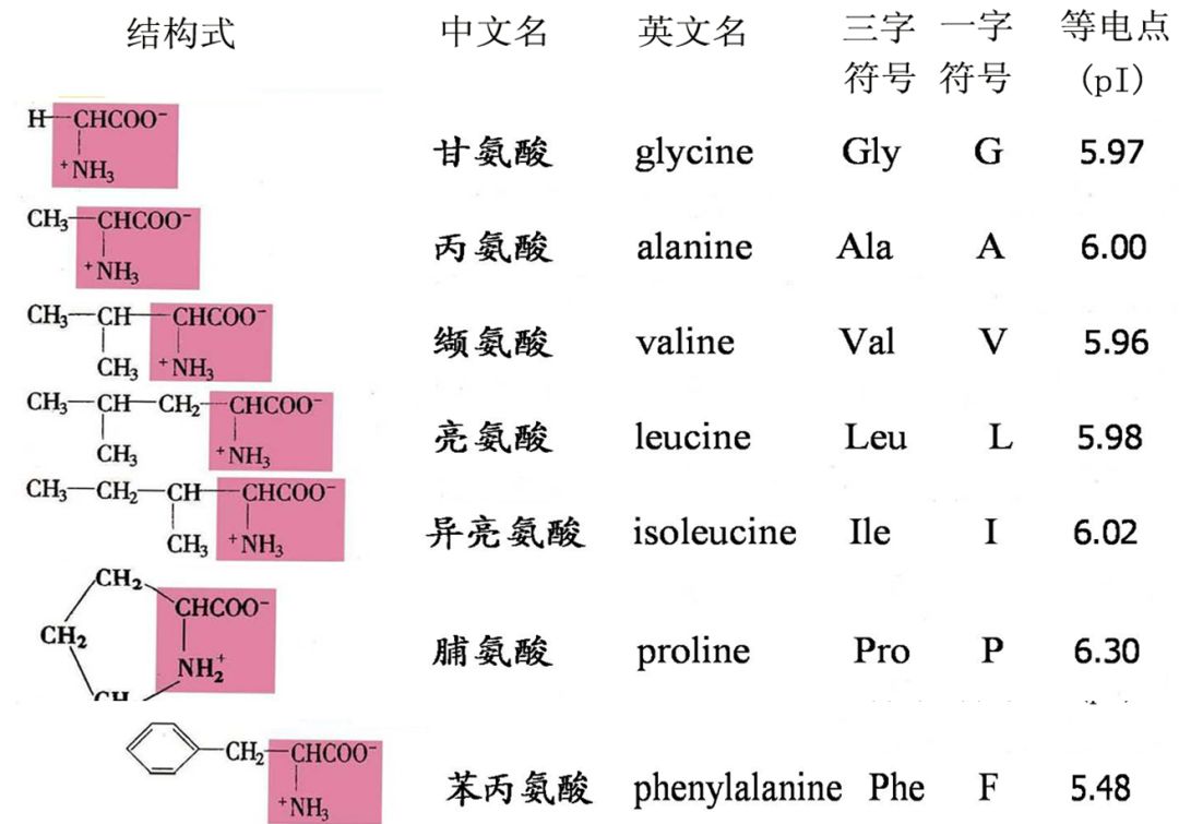 各种氨基酸中文名字由来 食品与化学 微信公众号文章阅读 Wemp