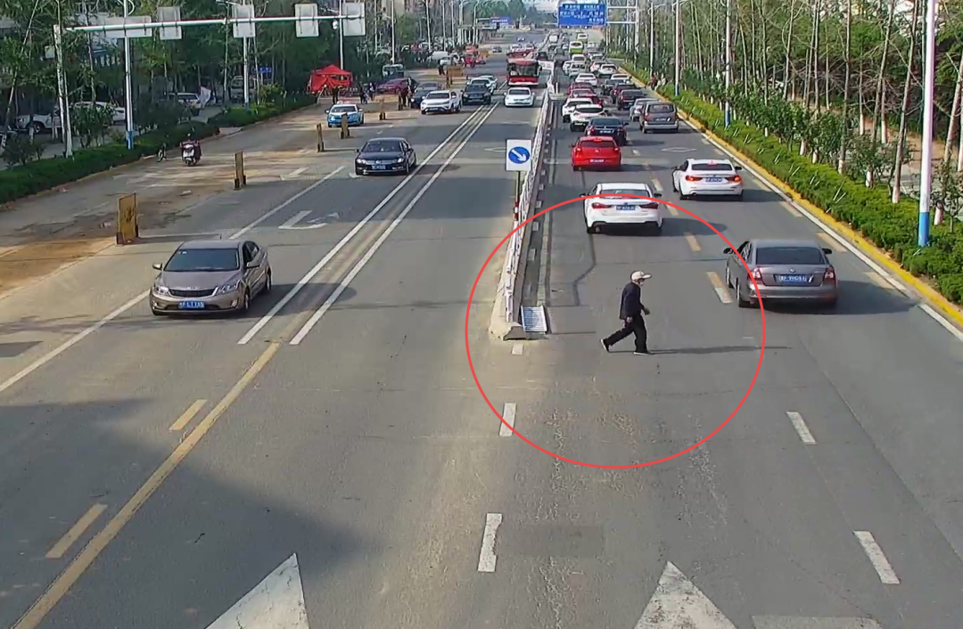 又一波行人横穿马路被曝光你是否榜上有名