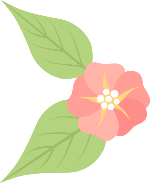 女企委动态 | 春日雅集·芳华绽放——“三·八”国际劳动妇女节联谊活动