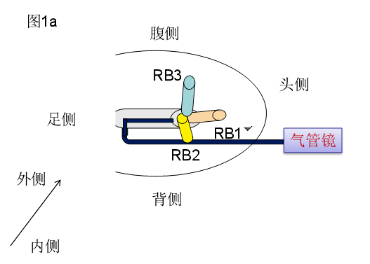 镜像翻转软件_图片镜像翻转在线_图片镜像翻转在线