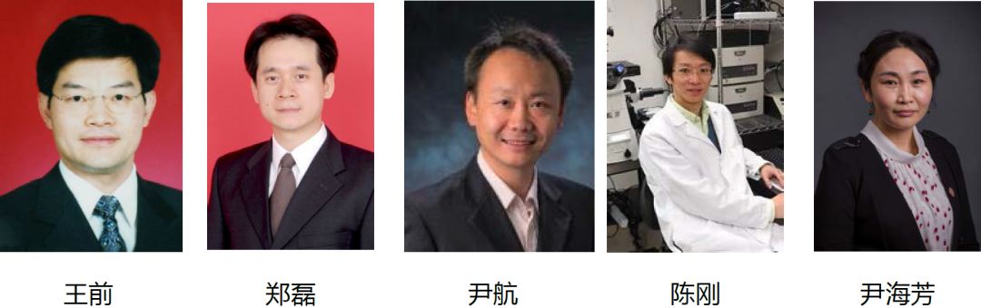 9折优惠| 2018全国细胞外囊泡研究大会，ISEV首次走进中国图
