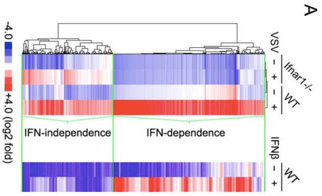 lncRNA研究策略—来自Science一作王品博士的经验分享图