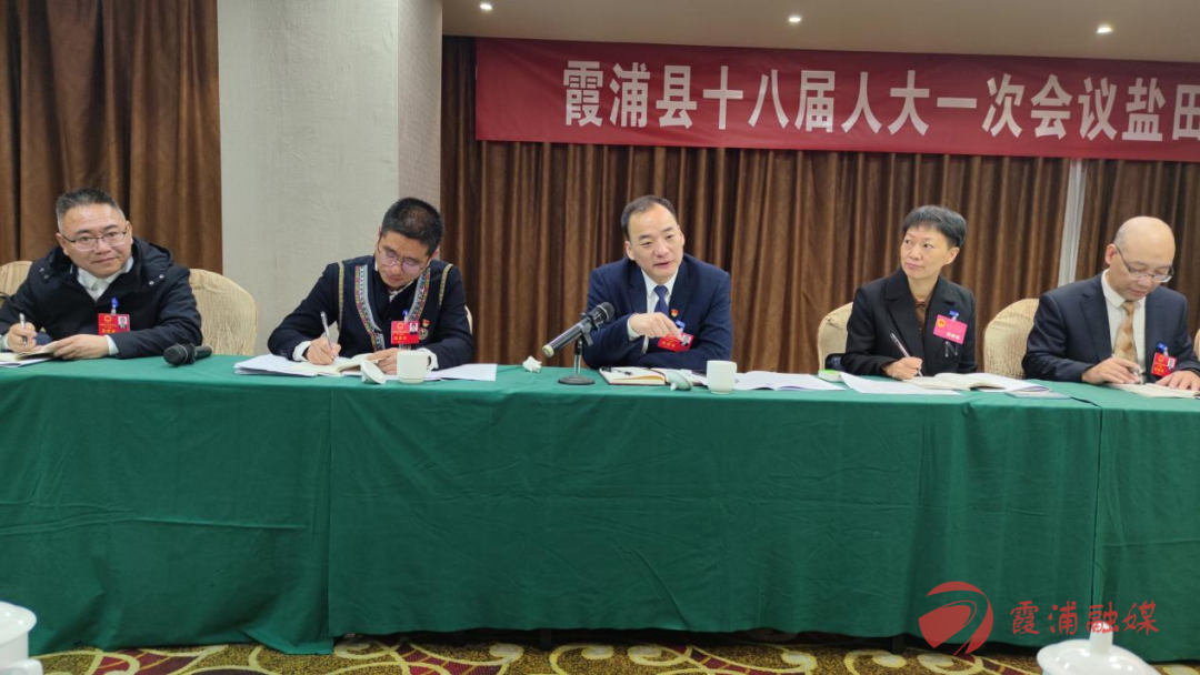 聚焦两会罗义春参加盐田代表团审议