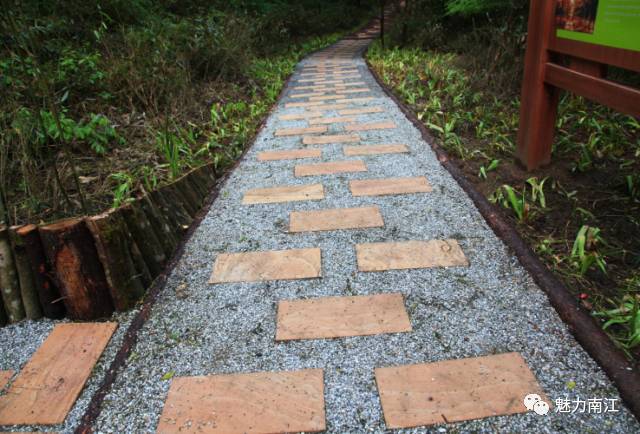 四川最美的森林康養步道在這裡小長假去正合適趕緊收藏