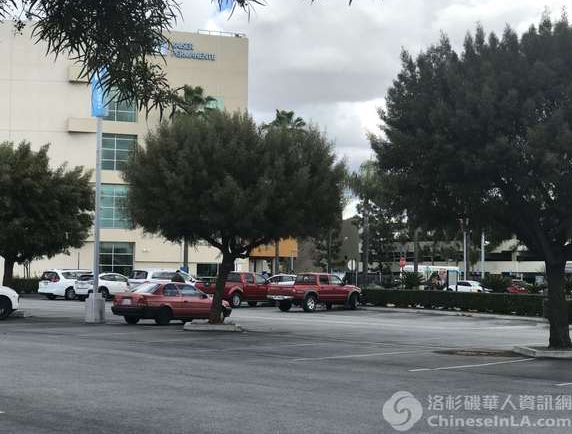 华裔留学生在家切鸭蛋或引来天价账单! 切伤手晕倒抽搐 深夜四处求医碰壁（组图） - 5