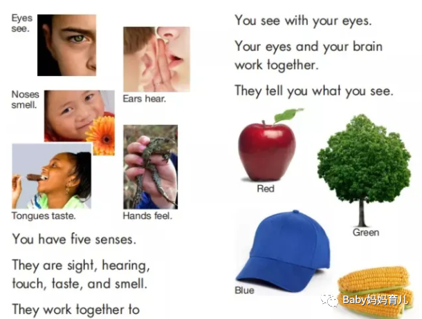 免费资源分享 |