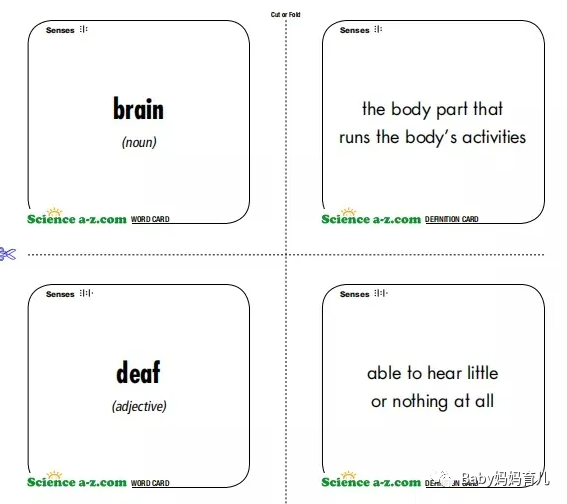 免费资源分享 |