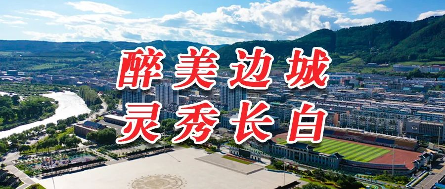 2025年06月24日白山天气,2025年6月24日——天气预报
