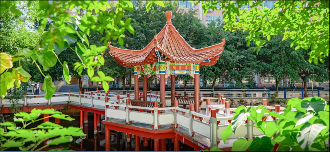 信丰中学