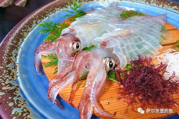 海鱼生吃 寄生虫的风险高么 萨尔茨堡的鱼 微文库