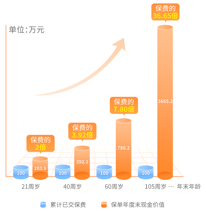 增多多3号泰山版现金价值