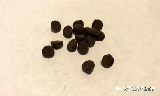 《在线学习能提供完整学习体验吗？答案可能令你感到意外》