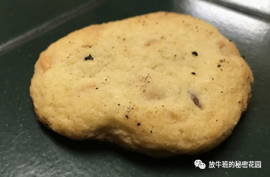 《在线学习能提供完整学习体验吗？答案可能令你感到意外》