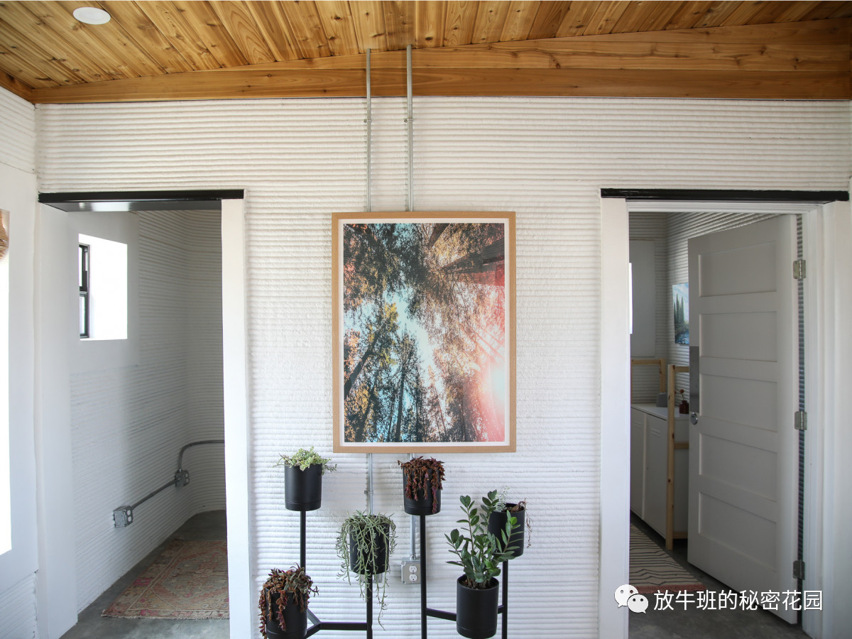 《24小时3D打印微型住宅，成本极低；不用电的生物发光照明系统》