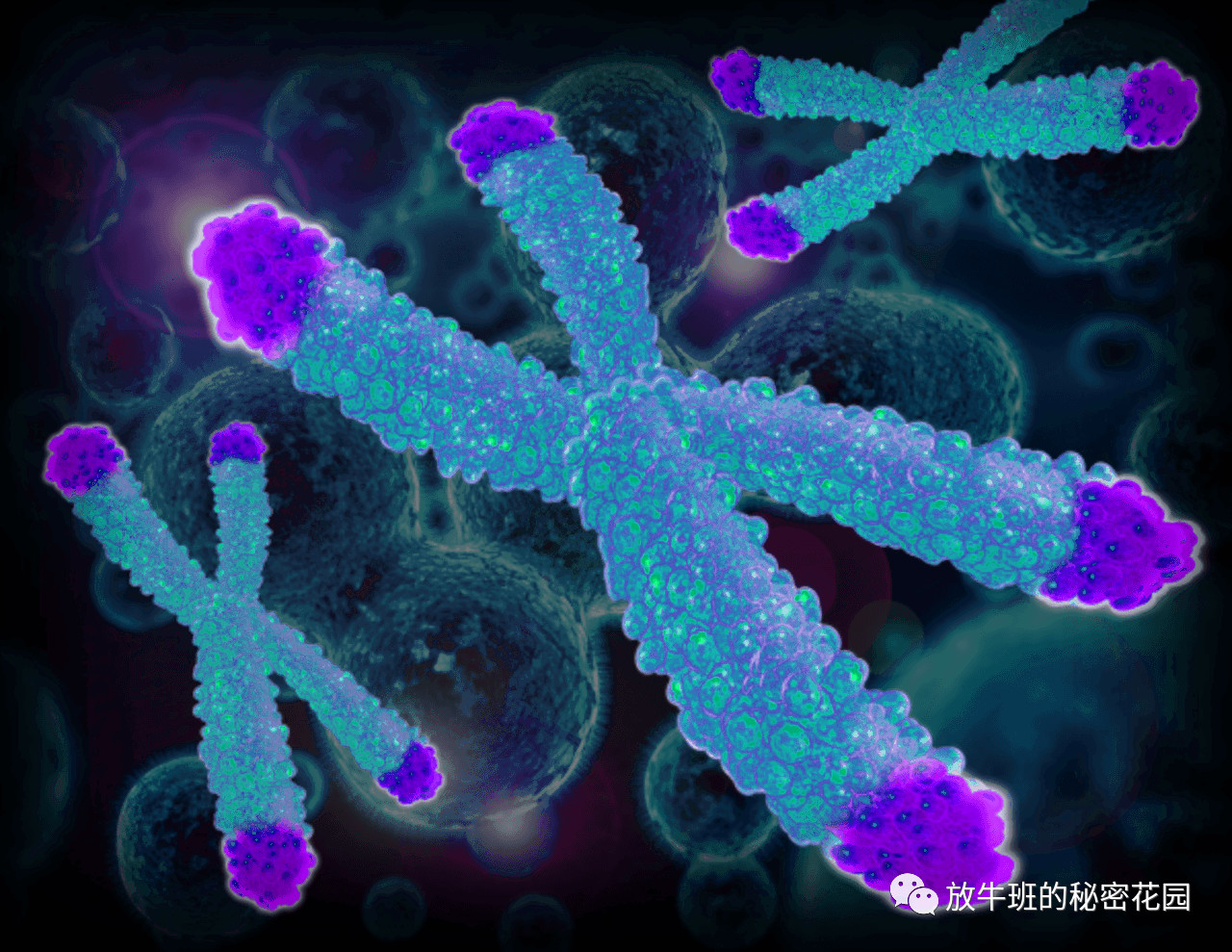 《英国《卫报》：硅谷对永生的追求是一种比死亡更糟糕的命运吗？》