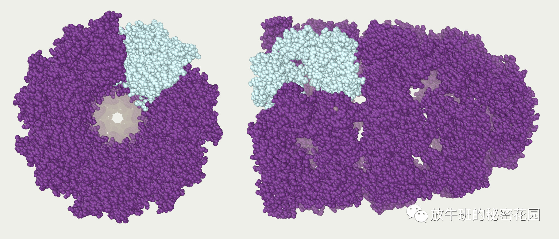 《英国《卫报》：硅谷对永生的追求是一种比死亡更糟糕的命运吗？》