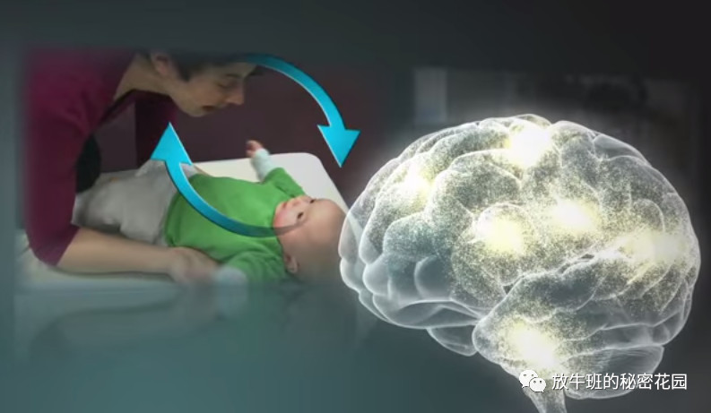 《爸爸的奇迹——人类学家谈父亲角色在人类进化史中的关键作用》