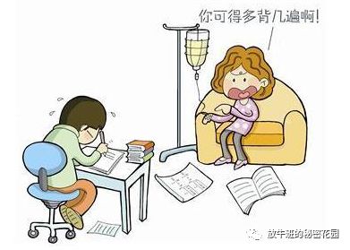 《假期玩还是学，时间怎么分配？》