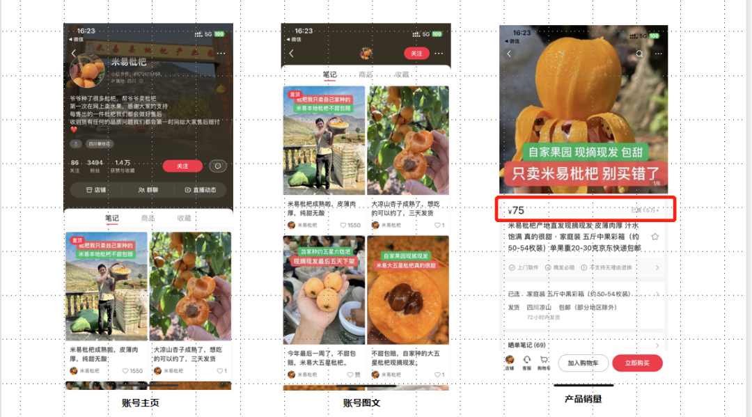 小红书商家全景图