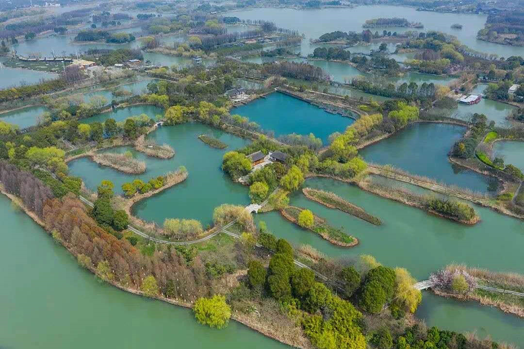 乘風破浪水上飛人！還有國寶大貓熊！今年國慶，蘇州人的吃喝玩樂將被這裡承包 旅遊 第20張