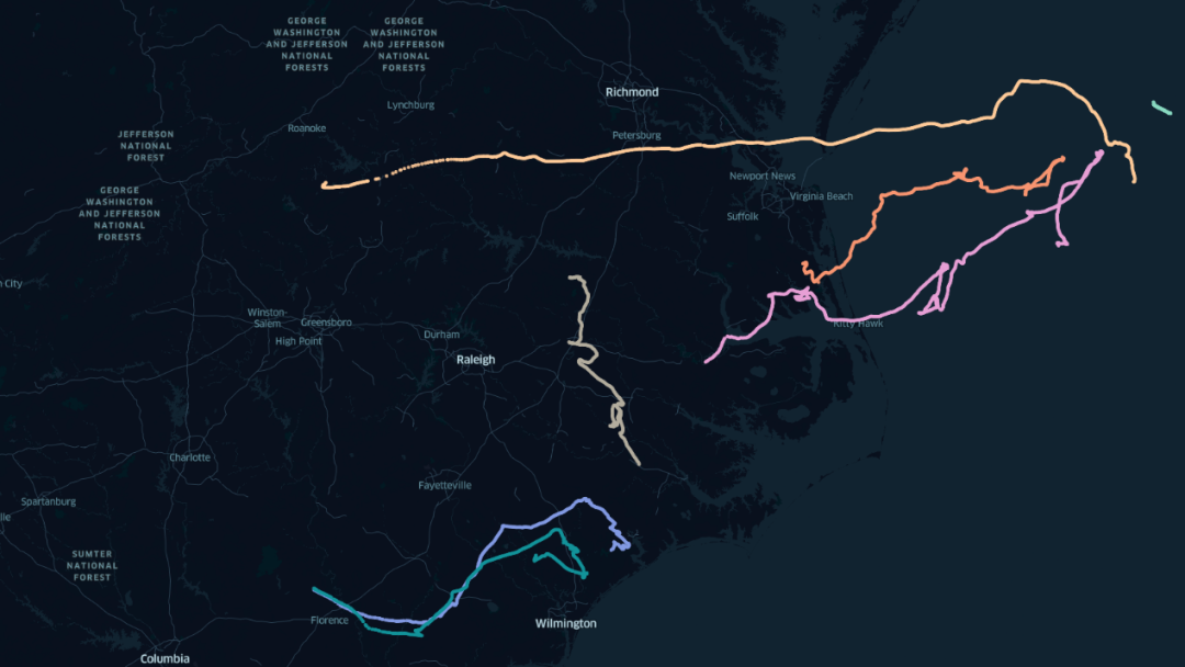 我们对最近徘徊在美国海岸线上的高空气球的了解的图11