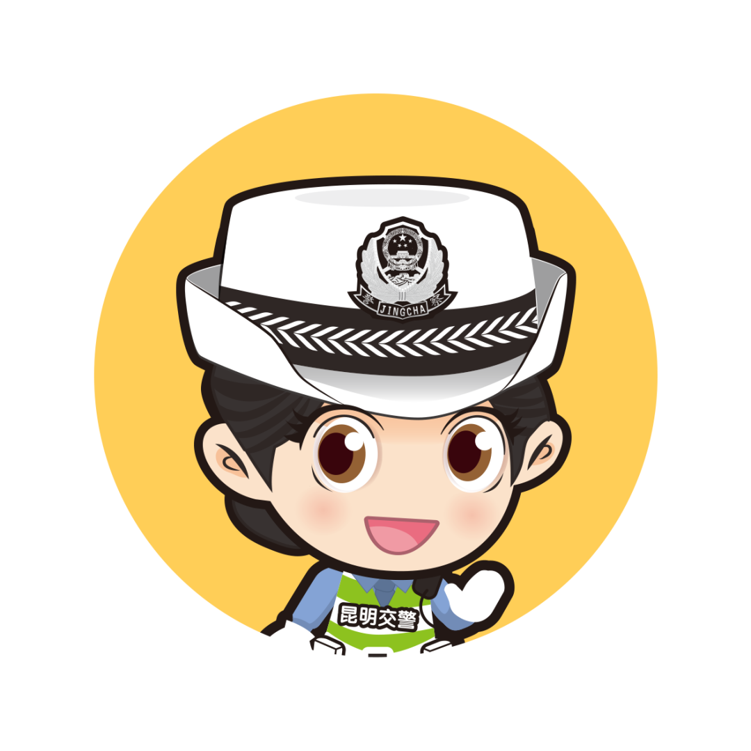 查看交警的交通事故
