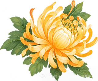 重阳岁岁至，陪伴不孤单