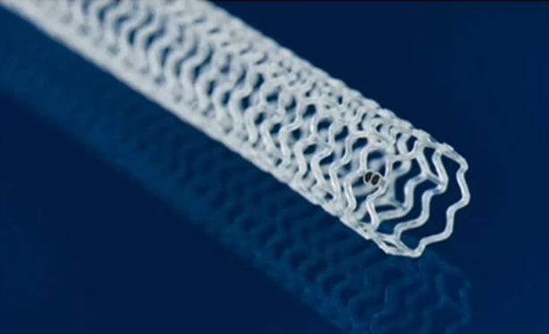 什么是外周支架CX 2023 BVS／DRS专题｜Efemoral Ⅰ研究更新——西罗莫司涂层球扩式生物可吸收支架用于股腘动脉疾病_https://www.jmylbn.com_新闻资讯_第5张