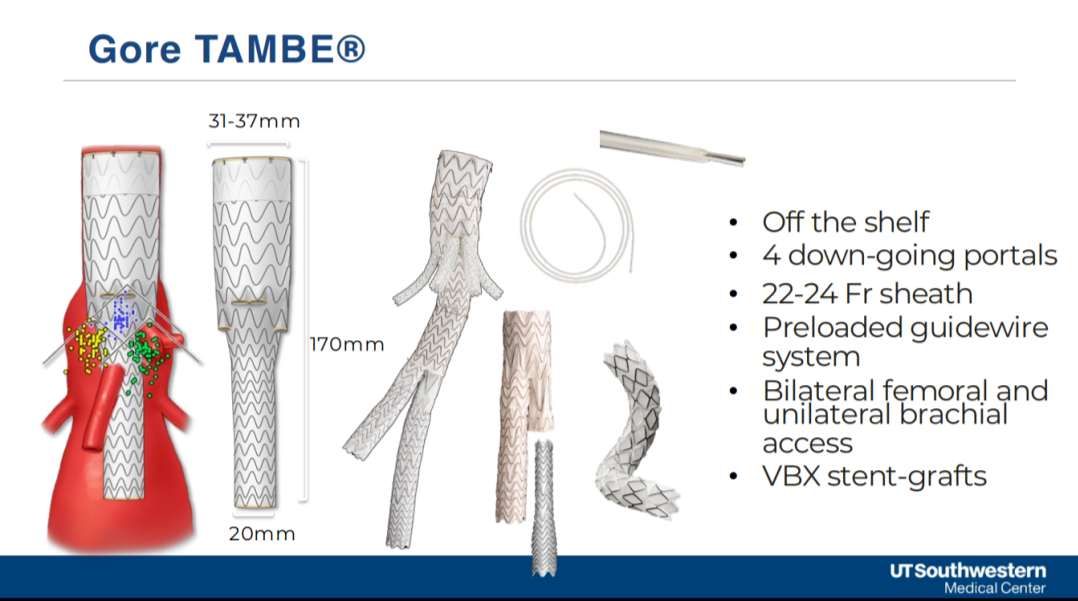 excel支架怎么样VEITH 2024｜GORE®主动脉疾病全腔内修复解决方案最新进展_https://www.jmylbn.com_新闻资讯_第3张