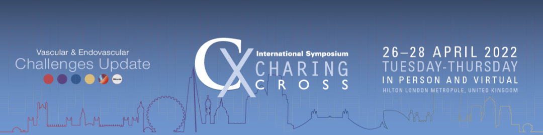 什么是外周支架CX 2023 BVS／DRS专题｜Efemoral Ⅰ研究更新——西罗莫司涂层球扩式生物可吸收支架用于股腘动脉疾病_https://www.jmylbn.com_新闻资讯_第1张