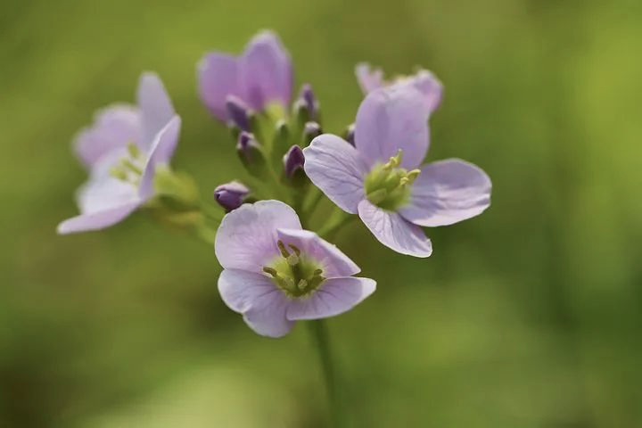 夏季来临，糖尿病这些误区不要碰！