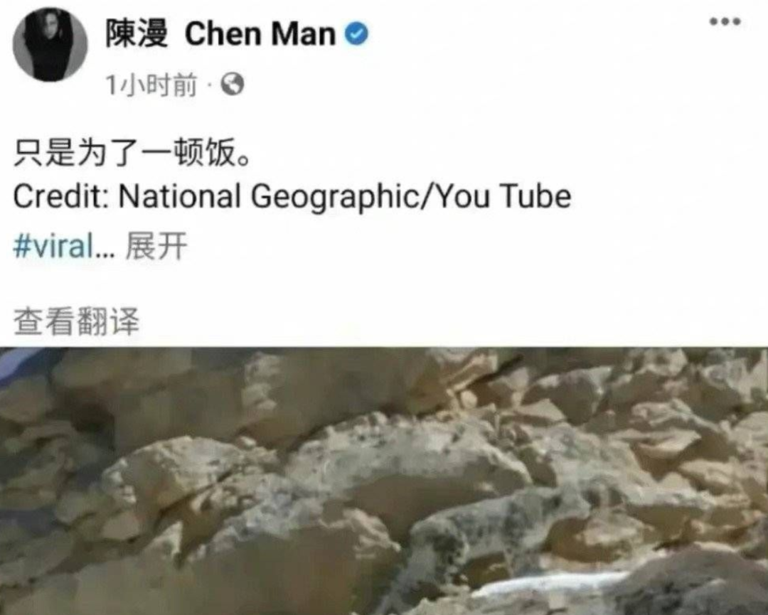 陈漫就作品争议发文道歉原来为了金钱可以出卖很多！