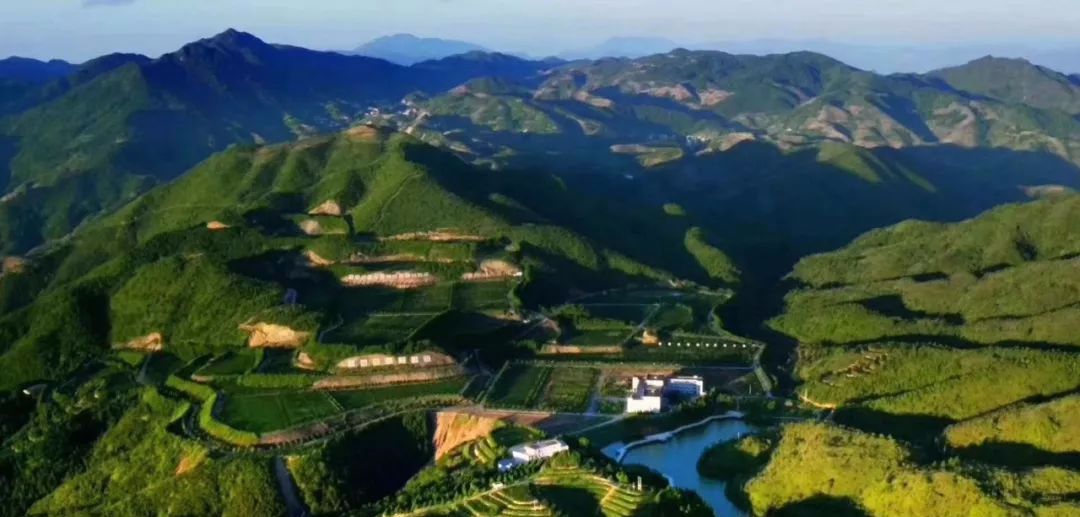 秋天，我在安溪最美的茶园等着你！