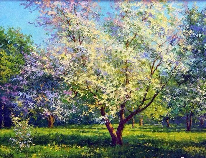 生命里，有风有雨 更有阳光