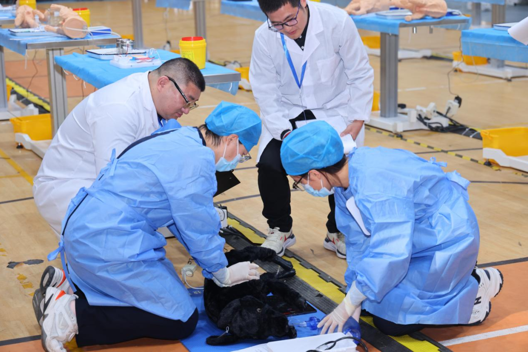 2025一带一路暨金砖国家技能发展与技术创新大赛小动物临床技能赛项决赛