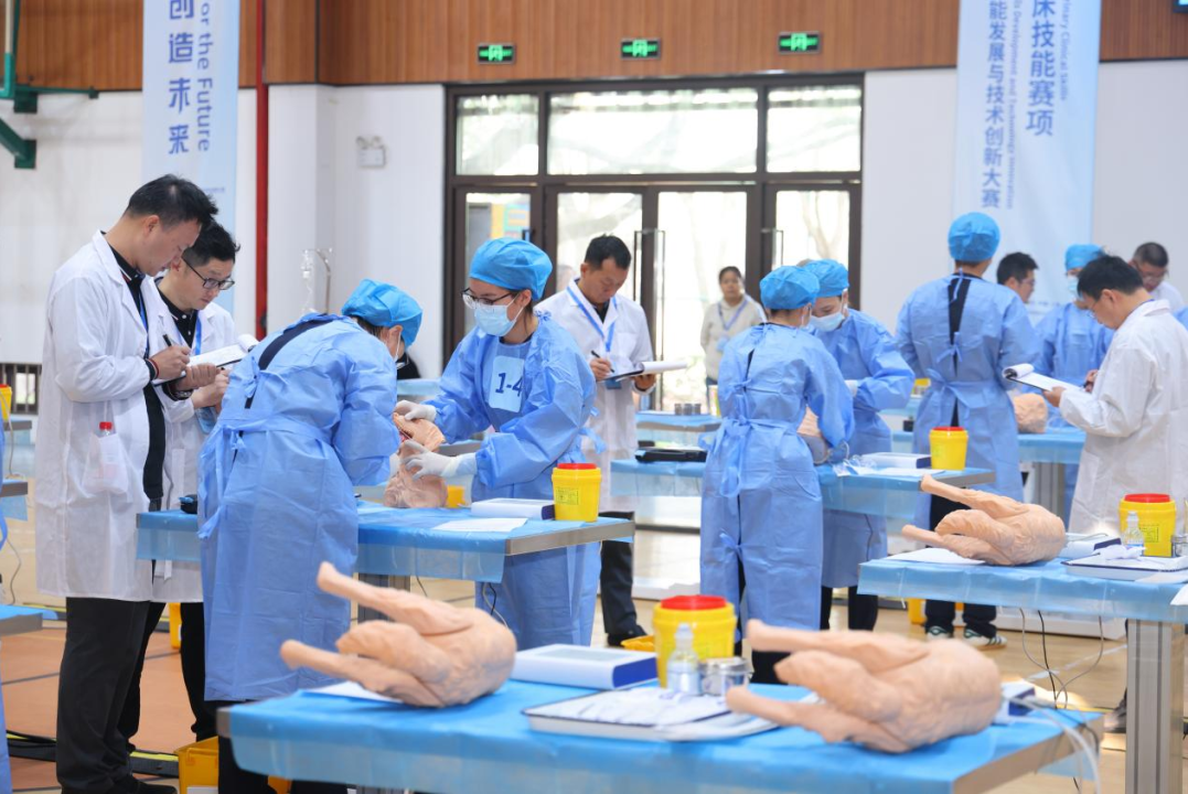 2025一带一路暨金砖国家技能发展与技术创新大赛小动物临床技能赛项决赛