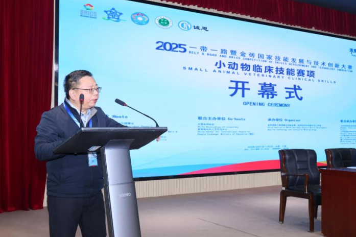 2025一带一路暨金砖国家技能发展与技术创新大赛小动物临床技能赛项决赛