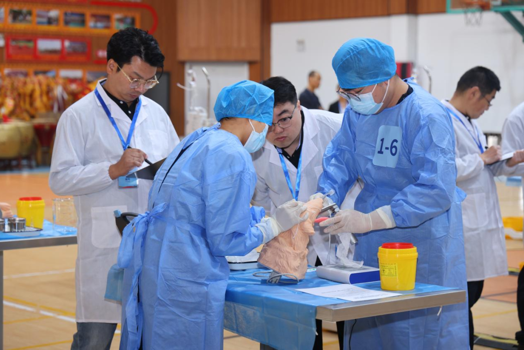 2025一带一路暨金砖国家技能发展与技术创新大赛小动物临床技能赛项决赛