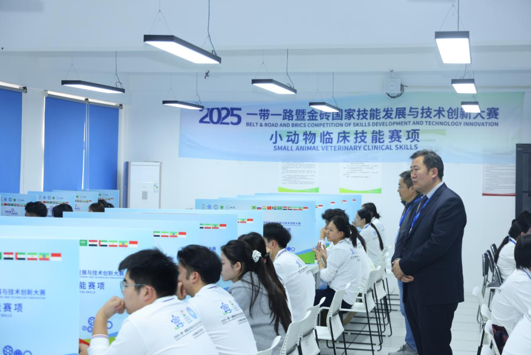 2025一带一路暨金砖国家技能发展与技术创新大赛小动物临床技能赛项决赛