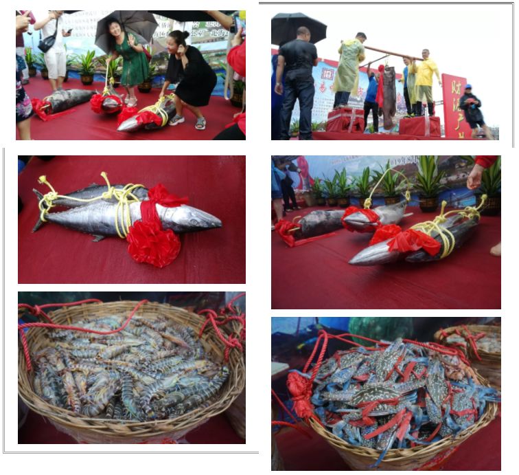 北海海鲜市场价_2020年北海海鲜价格_龙趸鱼多少钱一斤