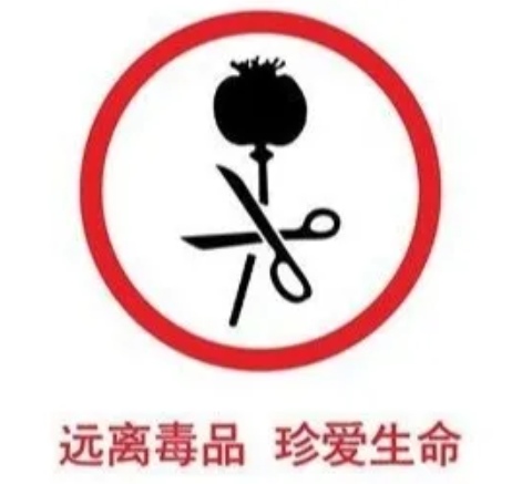 DƬ