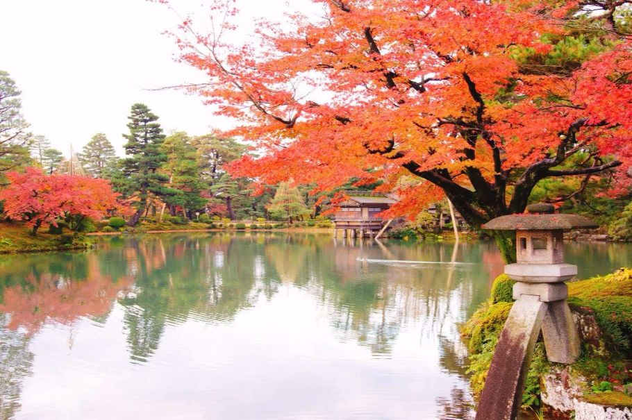 這樣飛日本最便宜，還能打卡一片小眾秘境！ 旅遊 第4張