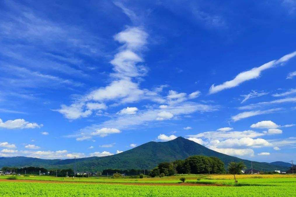 這樣飛日本最便宜，還能打卡一片小眾秘境！ 旅遊 第15張